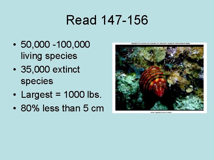 Read 147 -156 • 50, 000 -100, 000 living species • 35, 000 extinct Read 147 -156 • 50, 000 -100, 000 living species • 35, 000 extinct