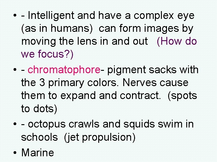 • - Intelligent and have a complex eye (as in humans) can form • - Intelligent and have a complex eye (as in humans) can form