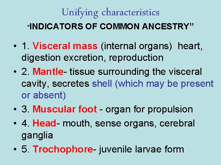 Unifying characteristics “INDICATORS OF COMMON ANCESTRY” • 1. Visceral mass (internal organs) heart, digestion Unifying characteristics “INDICATORS OF COMMON ANCESTRY” • 1. Visceral mass (internal organs) heart, digestion