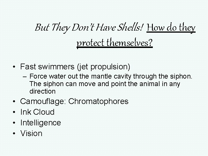 But They Don’t Have Shells! How do they protect themselves? • Fast swimmers (jet But They Don’t Have Shells! How do they protect themselves? • Fast swimmers (jet