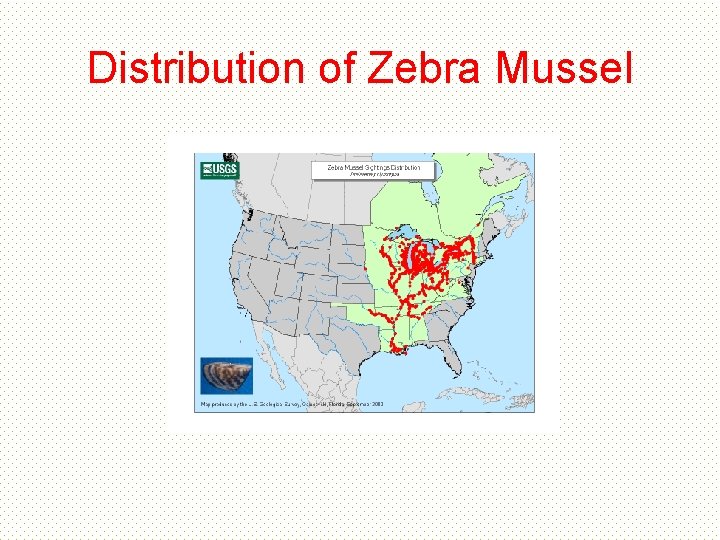 Distribution of Zebra Mussel Distribution of Zebra Mussel