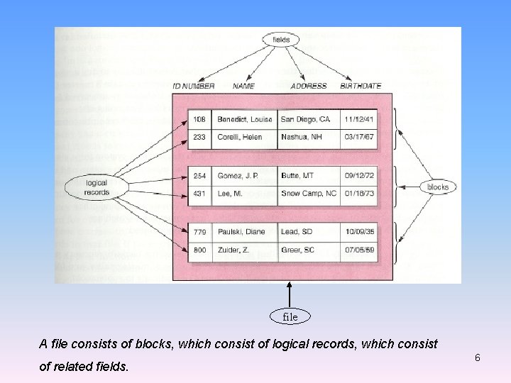 file A file consists of blocks, which consist of logical records, which consist of