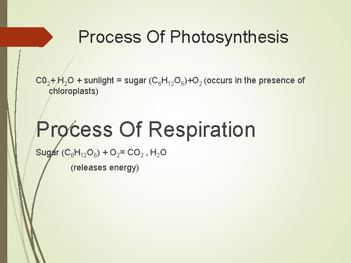Process Of Photosynthesis C 02+ H 2 O + sunlight = sugar (C 6
