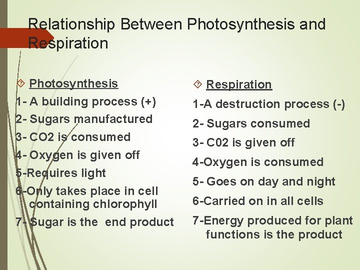 Relationship Between Photosynthesis and Respiration Photosynthesis 1 - A building process (+) 2 -