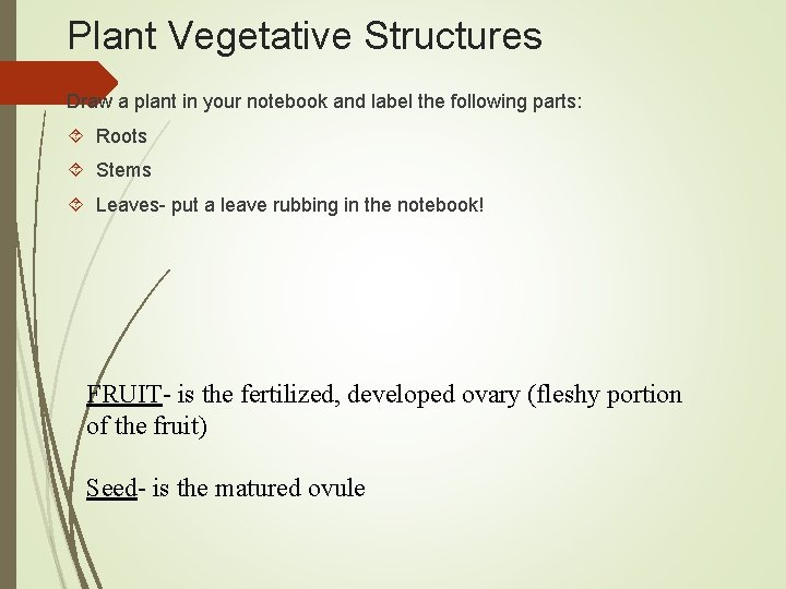 Plant Vegetative Structures Draw a plant in your notebook and label the following parts: