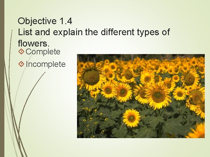 Objective 1. 4 List and explain the different types of flowers. Complete Incomplete 