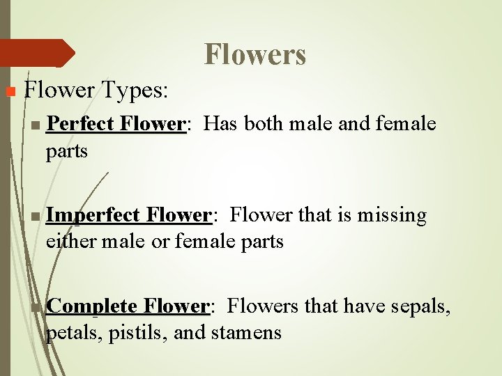 Flowers n Flower Types: n n n Perfect Flower: Has both male and female