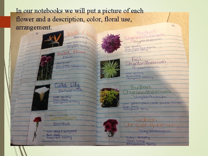 In our notebooks we will put a picture of each flower and a description,