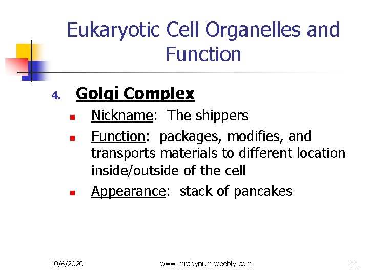 Eukaryotic Cell Organelles and Function Golgi Complex 4. n n n 10/6/2020 Nickname: The