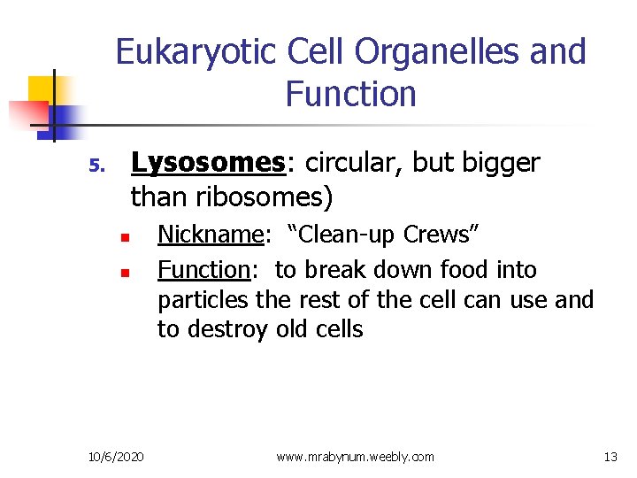 Eukaryotic Cell Organelles and Function Lysosomes: circular, but bigger than ribosomes) 5. n n