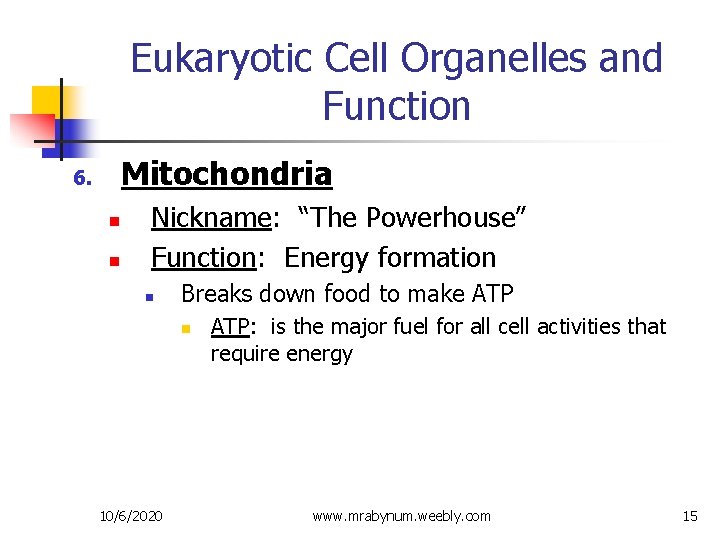 Eukaryotic Cell Organelles and Function Mitochondria 6. n n Nickname: “The Powerhouse” Function: Energy