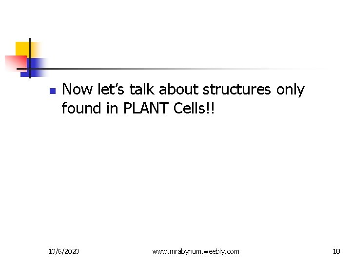 n Now let’s talk about structures only found in PLANT Cells!! 10/6/2020 www. mrabynum.