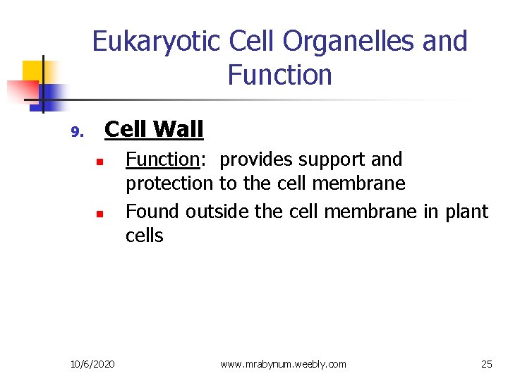 Eukaryotic Cell Organelles and Function Cell Wall 9. n n 10/6/2020 Function: provides support