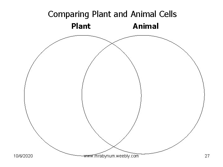 Comparing Plant and Animal Cells Plant 10/6/2020 Animal www. mrabynum. weebly. com 27 