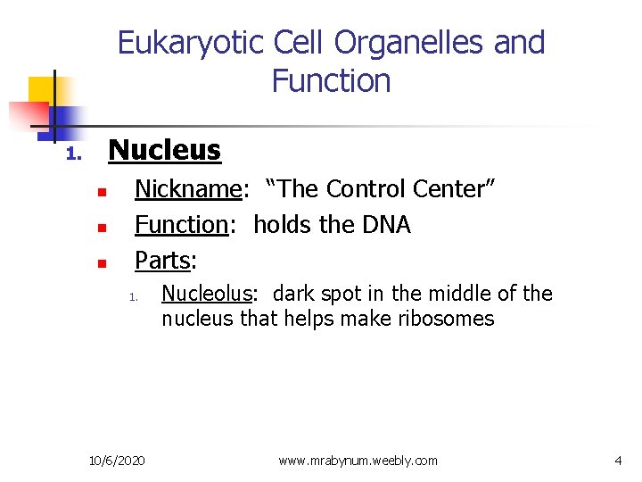 Eukaryotic Cell Organelles and Function Nucleus 1. n n n Nickname: “The Control Center”
