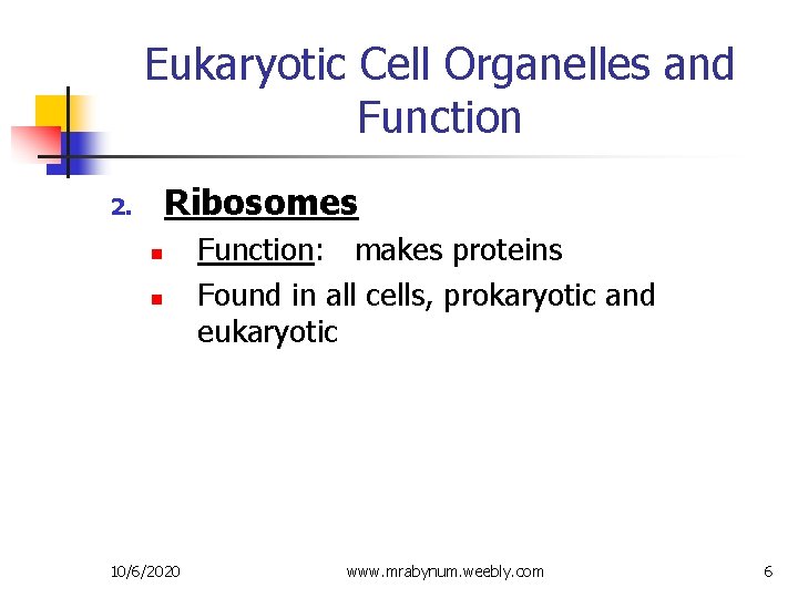 Eukaryotic Cell Organelles and Function Ribosomes 2. n n 10/6/2020 Function: makes proteins Found