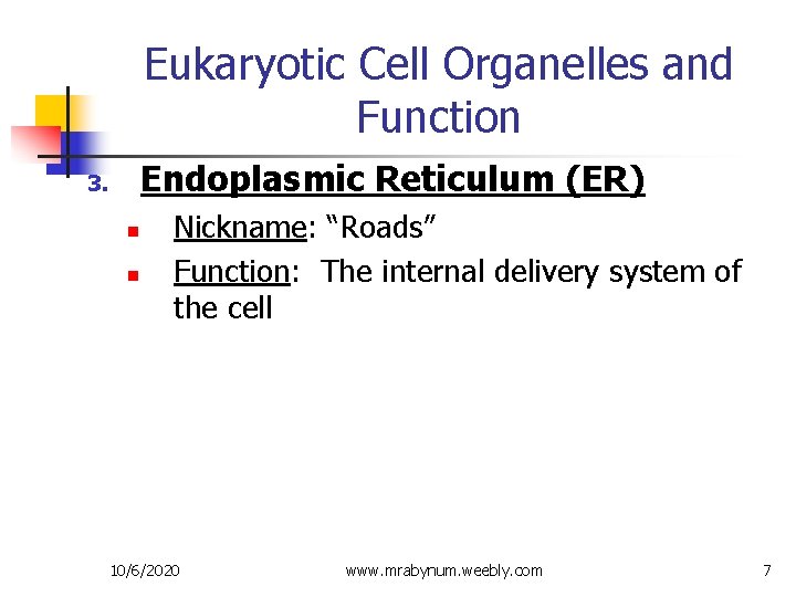 Eukaryotic Cell Organelles and Function Endoplasmic Reticulum (ER) 3. n n Nickname: “Roads” Function: