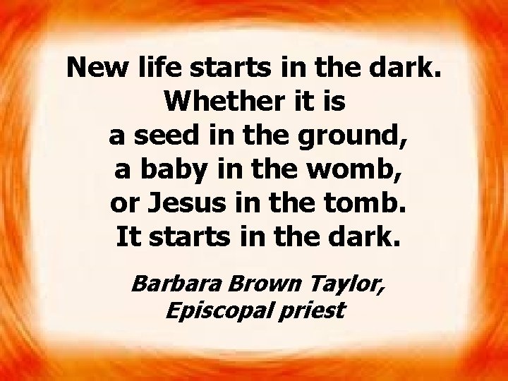 New life starts in the dark. Whether it is a seed in the ground,