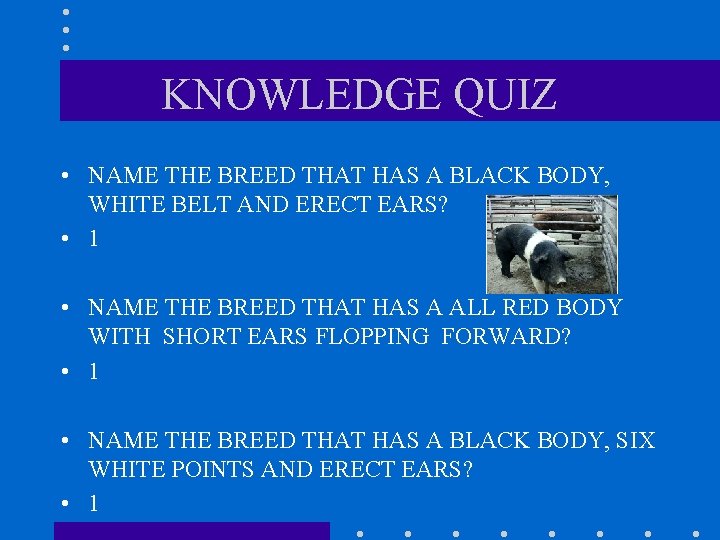 KNOWLEDGE QUIZ • NAME THE BREED THAT HAS A BLACK BODY, WHITE BELT AND