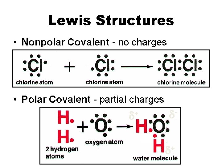 Lewis Structures • Nonpolar Covalent - no charges • Polar Covalent - partial charges