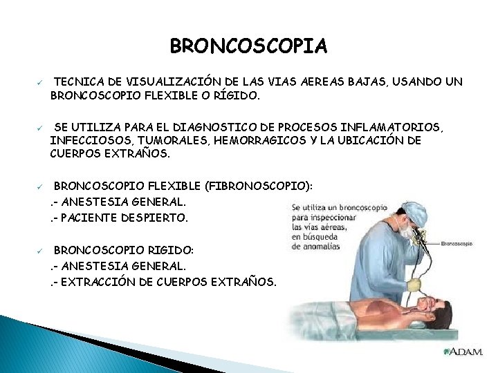 BRONCOSCOPIA ü ü TECNICA DE VISUALIZACIÓN DE LAS VIAS AEREAS BAJAS, USANDO UN BRONCOSCOPIO