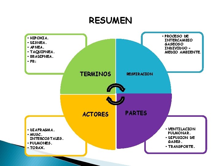 RESUMEN • • PROCESO DE INTERCAMBIO GASEOSO INDIVIDUO – MEDIO AMBIENTE. HIPOXIA. DISNEA. APNEA.