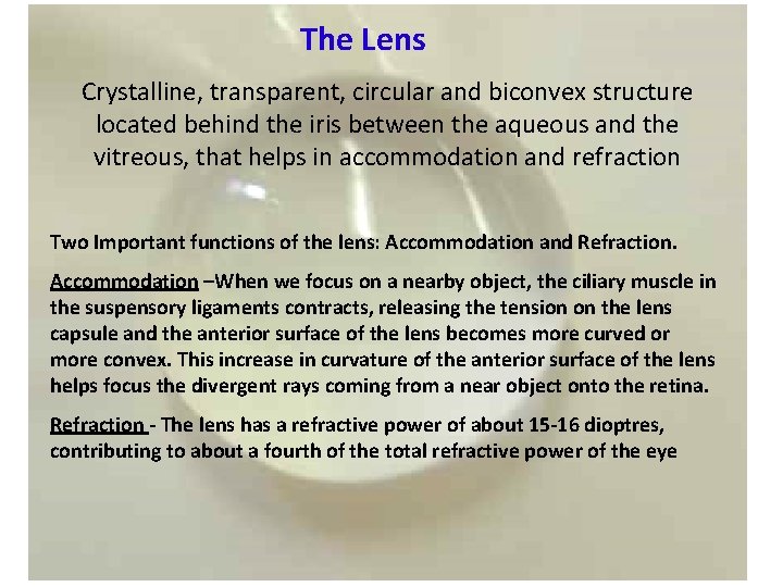 The Lens Crystalline, transparent, circular and biconvex structure located behind the iris between the