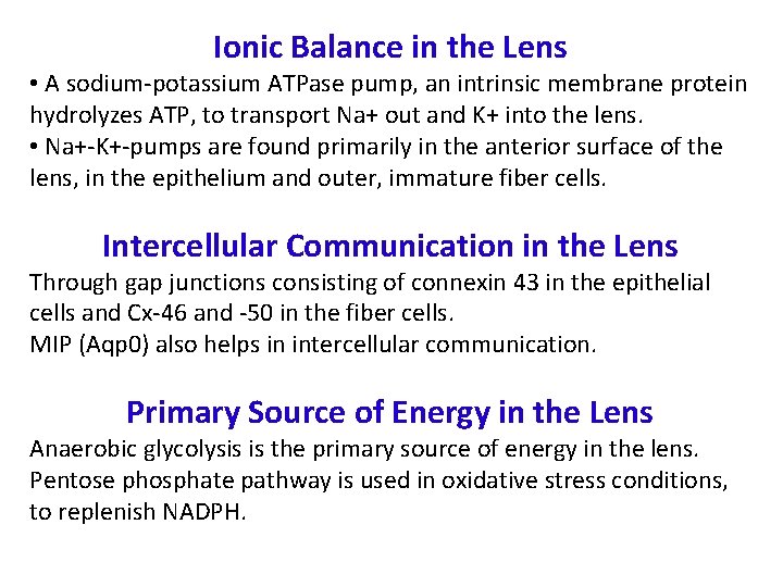 Ionic Balance in the Lens • A sodium-potassium ATPase pump, an intrinsic membrane protein