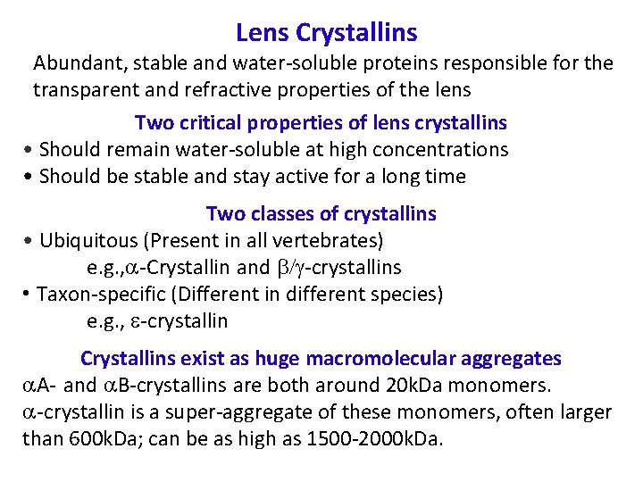 Lens Crystallins Abundant, stable and water-soluble proteins responsible for the transparent and refractive properties
