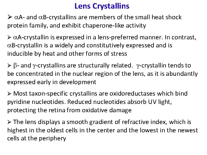 Lens Crystallins Ø a. A- and a. B-crystallins are members of the small heat