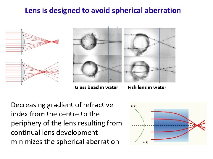 Lens is designed to avoid spherical aberration Glass bead in water Decreasing gradient of