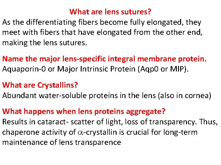 What are lens sutures? As the differentiating fibers become fully elongated, they meet with