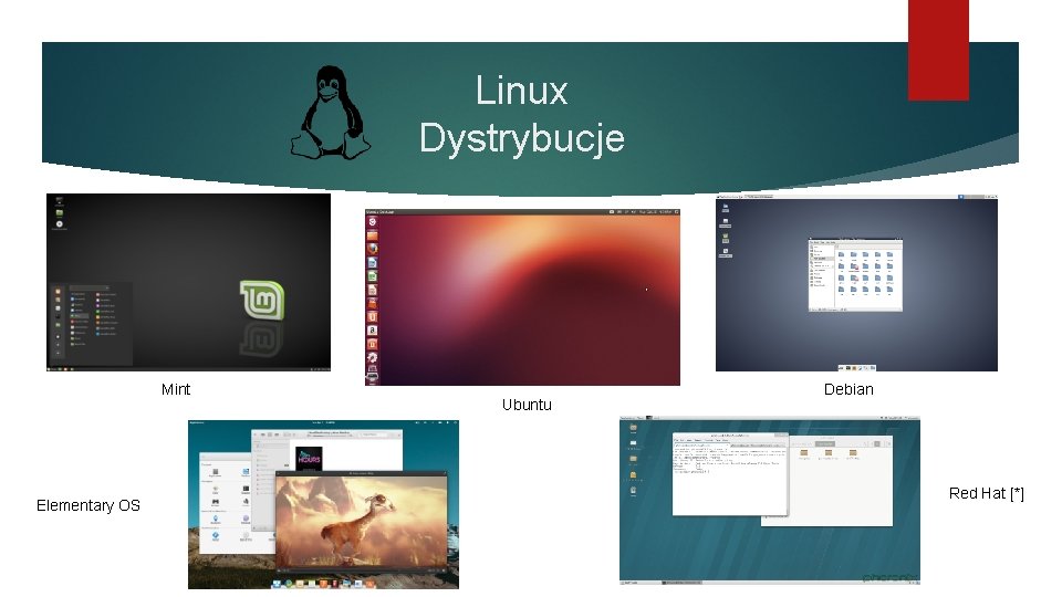Linux Dystrybucje Mint Elementary OS Ubuntu Debian Red Hat [*] 