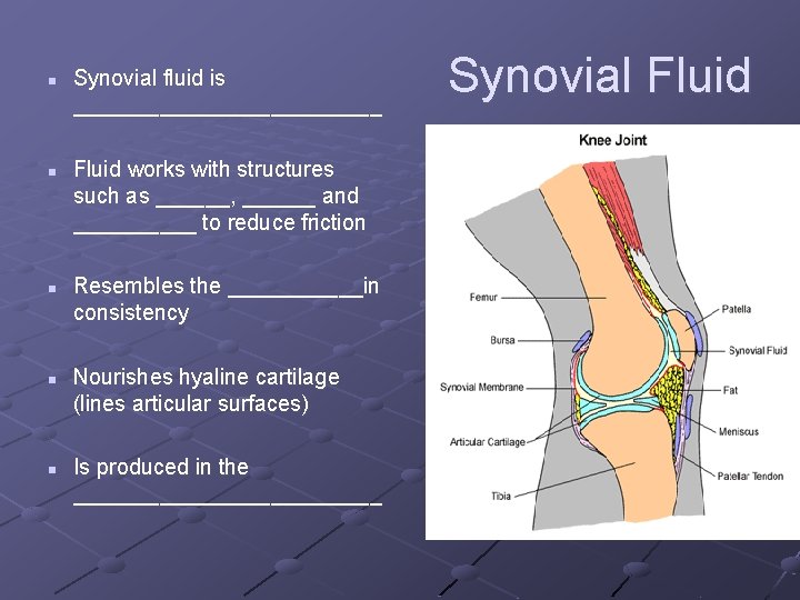 n n n Synovial fluid is _____________ Fluid works with structures such as ______,