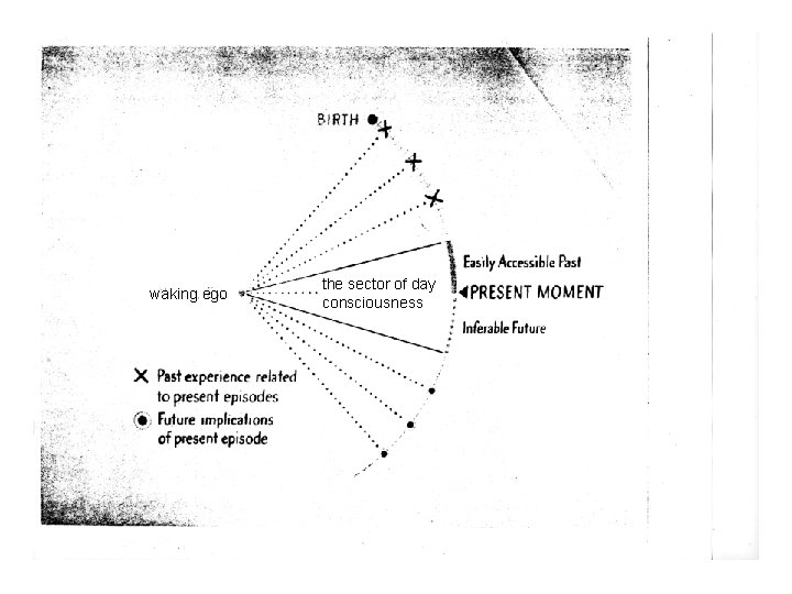 waking ego the sector of day consciousness 