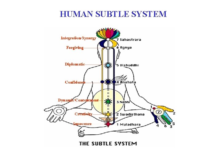 HUMAN SUBTLE SYSTEM 