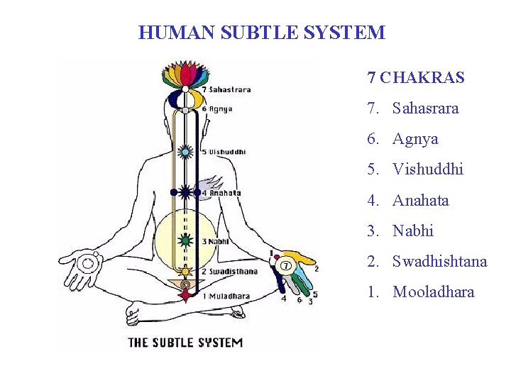 HUMAN SUBTLE SYSTEM 7 CHAKRAS 7. Sahasrara 6. Agnya 5. Vishuddhi 4. Anahata 3.