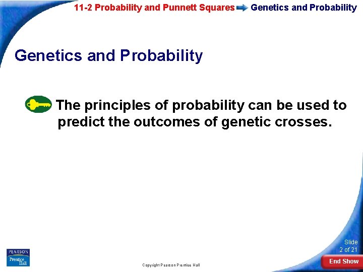 11 -2 Probability and Punnett Squares Genetics and Probability The principles of probability can