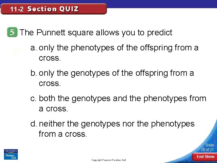 11 -2 The Punnett square allows you to predict a. only the phenotypes of