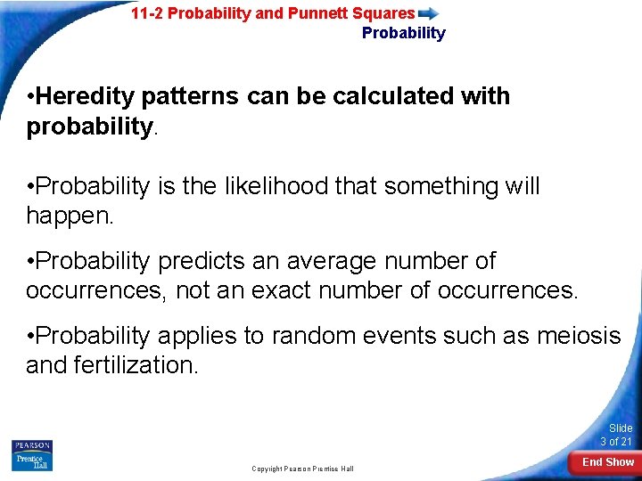 11 -2 Probability and Punnett Squares Probability • Heredity patterns can be calculated with