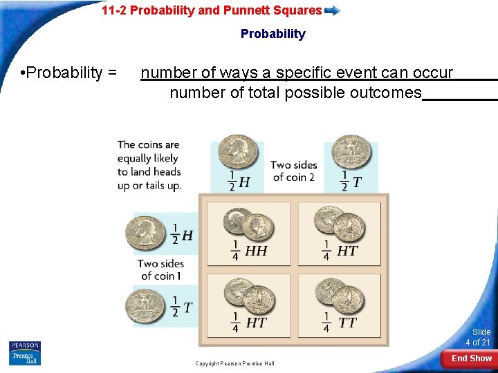 11 -2 Probability and Punnett Squares Probability • Probability = number of ways a