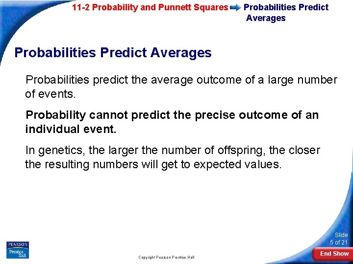 11 -2 Probability and Punnett Squares Probabilities Predict Averages Probabilities predict the average outcome