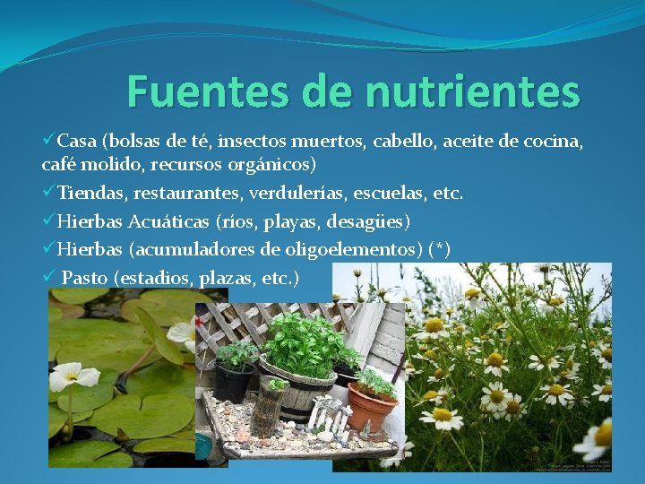 Fuentes de nutrientes üCasa (bolsas de té, insectos muertos, cabello, aceite de cocina, café