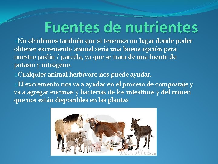 Fuentes de nutrientes o. No olvidemos también que si tenemos un lugar donde poder