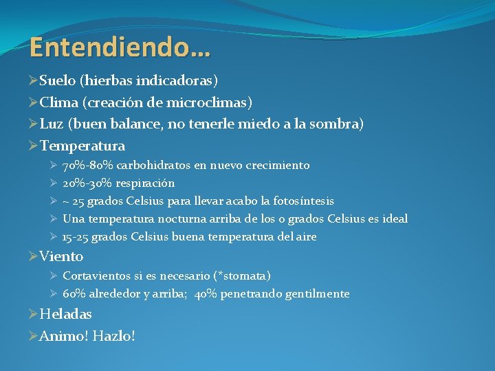 Entendiendo… ØSuelo (hierbas indicadoras) ØClima (creación de microclimas) ØLuz (buen balance, no tenerle miedo