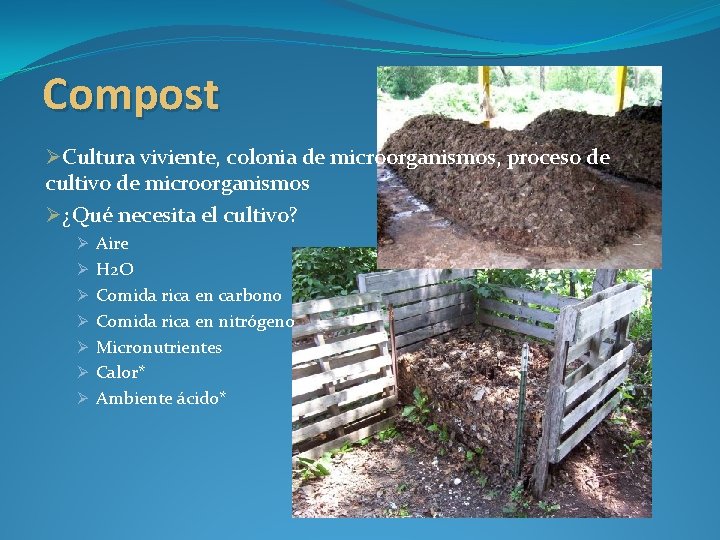 Compost ØCultura viviente, colonia de microorganismos, proceso de cultivo de microorganismos Ø¿Qué necesita el