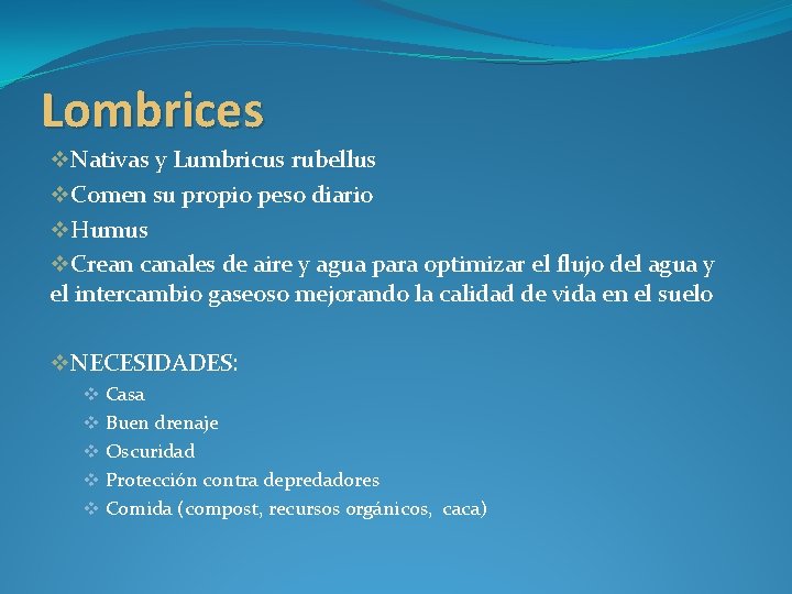 Lombrices v. Nativas y Lumbricus rubellus v. Comen su propio peso diario v. Humus