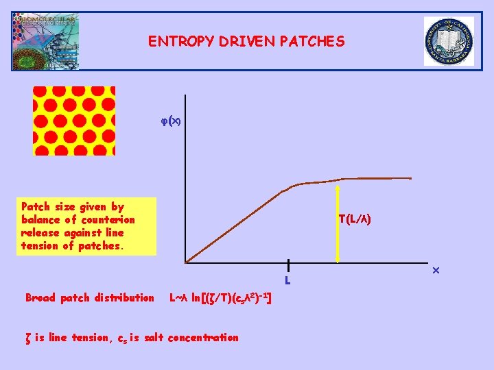 ENTROPY DRIVEN PATCHES φ(X) Patch size given by balance of counterion release against line