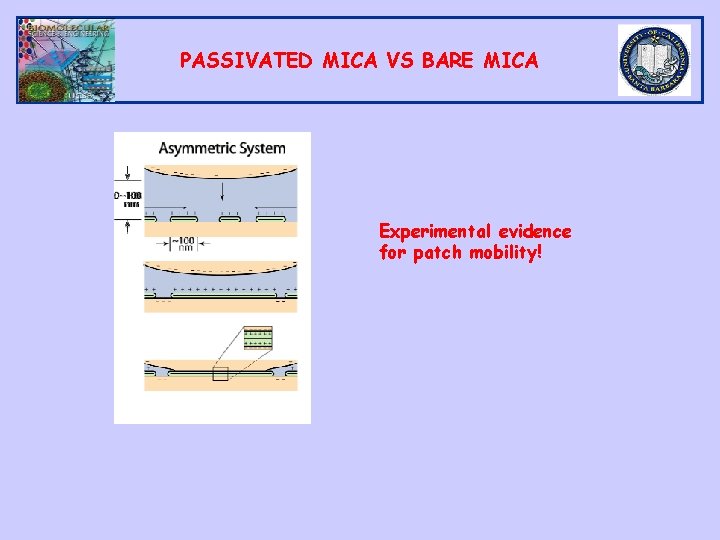 PASSIVATED MICA VS BARE MICA Experimental evidence for patch mobility! 