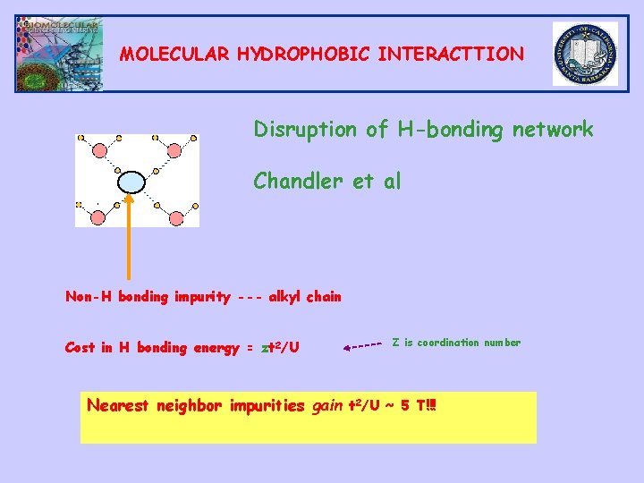 MOLECULAR HYDROPHOBIC INTERACTTION Disruption of H-bonding network Chandler et al Non-H bonding impurity ---
